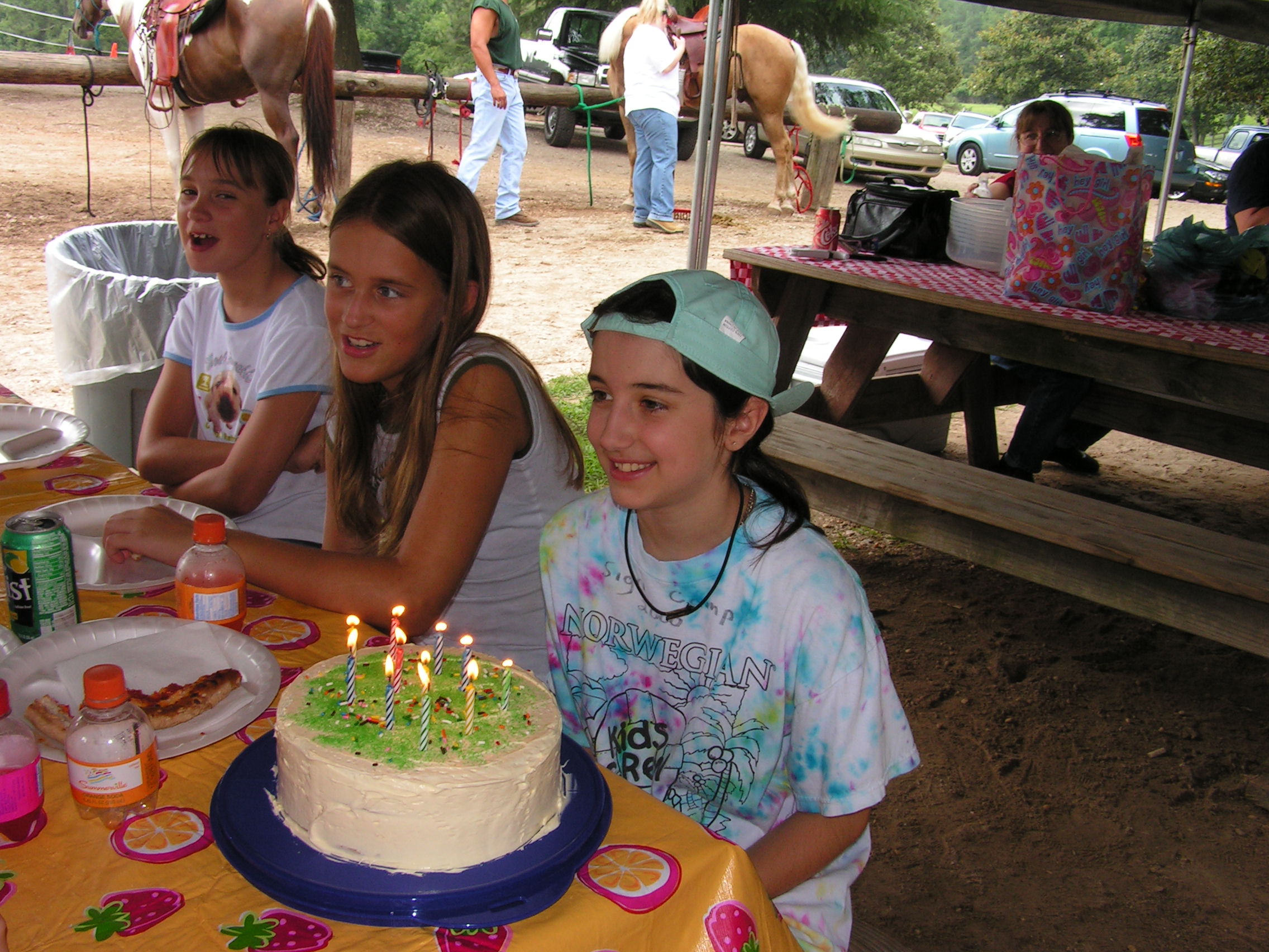 ./2004/J and H Stables/cars 11th horse party 04-0030.JPG